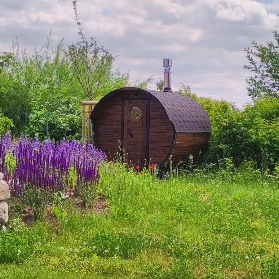 Premium Ferienhaus Soss Diek In Gross SchwanseeKalkhorst エクステリア 写真